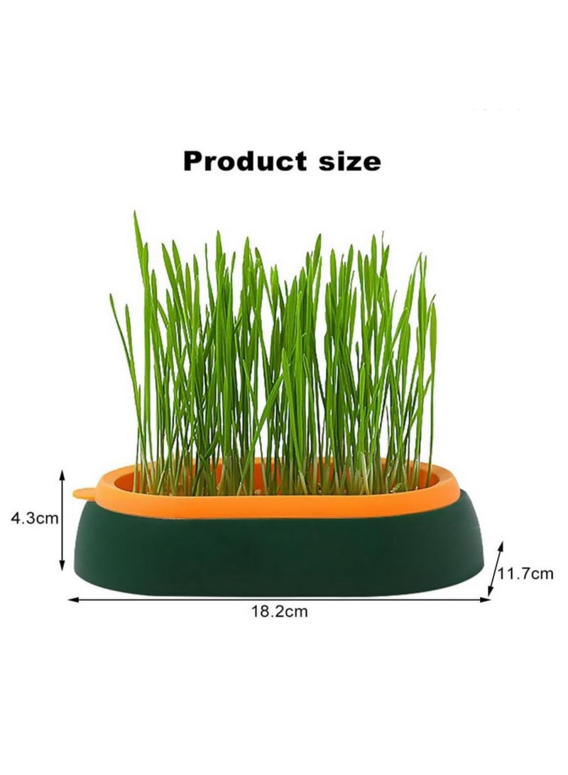 2 قطعة صندوق زراعة عشب القطط - نباتات هيدروبونيك في أصص، صينية تنمية لتحسين الهضم، دفيئة صغيرة، وجبة خفيفة لإزالة كرات الشعر وتنظيف المعدة، وعاء زراعة عشب - Image 2